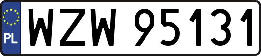 WZW95131