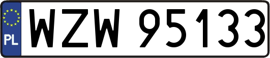 WZW95133