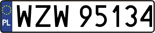 WZW95134