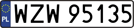WZW95135