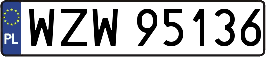 WZW95136