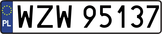 WZW95137