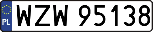 WZW95138