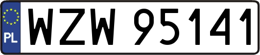 WZW95141
