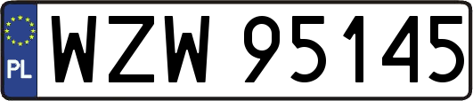 WZW95145