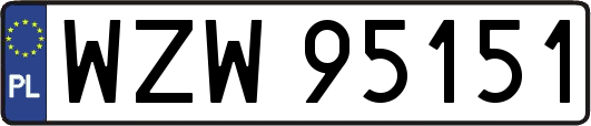 WZW95151