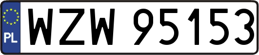 WZW95153