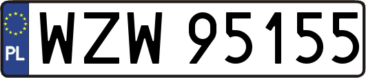 WZW95155