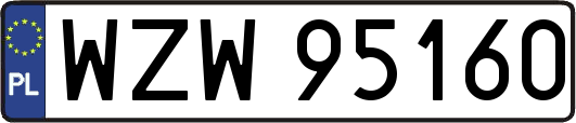 WZW95160