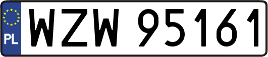 WZW95161