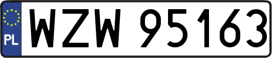 WZW95163