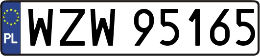 WZW95165
