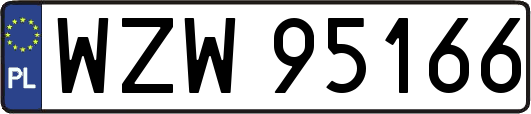 WZW95166