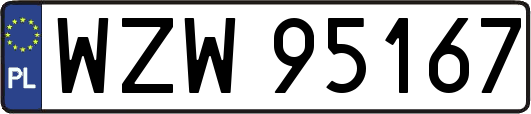 WZW95167