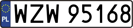 WZW95168