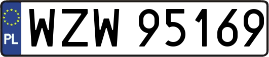 WZW95169