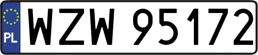 WZW95172