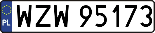 WZW95173