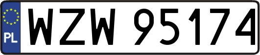 WZW95174