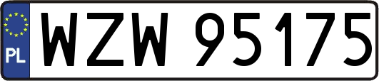 WZW95175