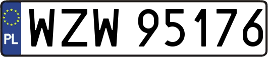 WZW95176