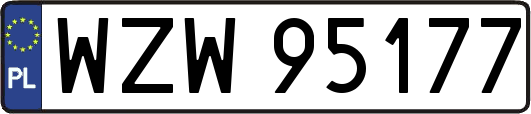 WZW95177