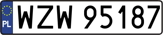WZW95187
