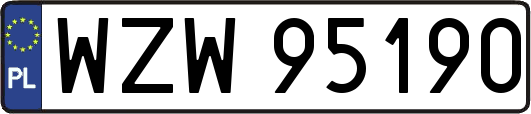 WZW95190