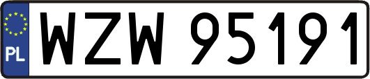 WZW95191