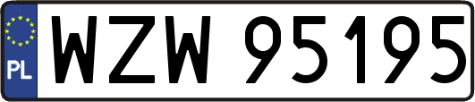 WZW95195