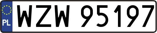 WZW95197