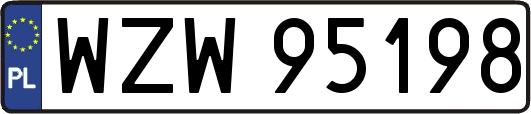 WZW95198