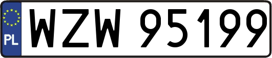 WZW95199