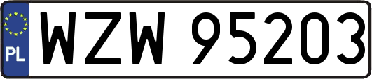WZW95203