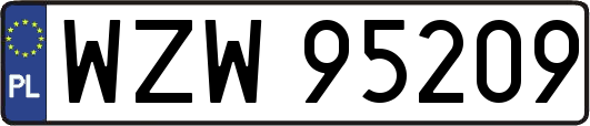 WZW95209