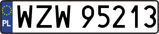 WZW95213