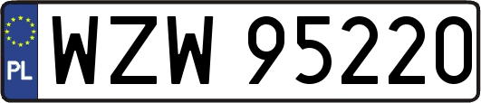 WZW95220