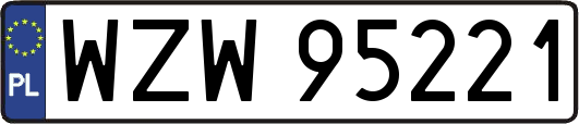 WZW95221