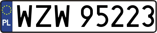 WZW95223