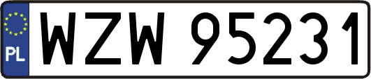 WZW95231