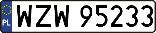 WZW95233