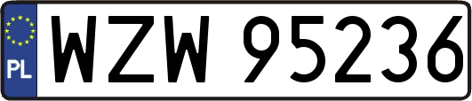 WZW95236