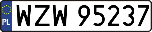 WZW95237