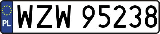 WZW95238