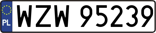 WZW95239