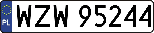 WZW95244