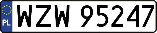 WZW95247
