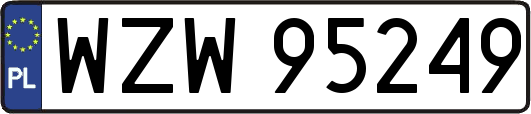 WZW95249