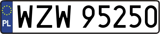 WZW95250