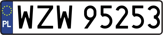 WZW95253